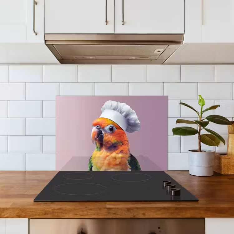 Spatscherm keuken - Papegaai - Koksmuts - Nieuwsgierig - Vogel — 3