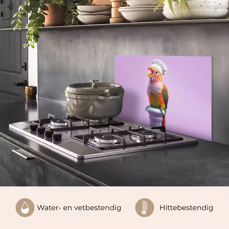 Spatscherm keuken - Papegaai - Koksmuts - Pilaar - Vogel — 2