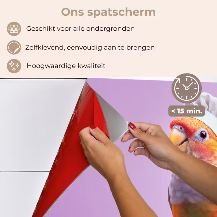Spatscherm keuken - Papegaai - Koksmuts - Pilaar - Vogel — 4