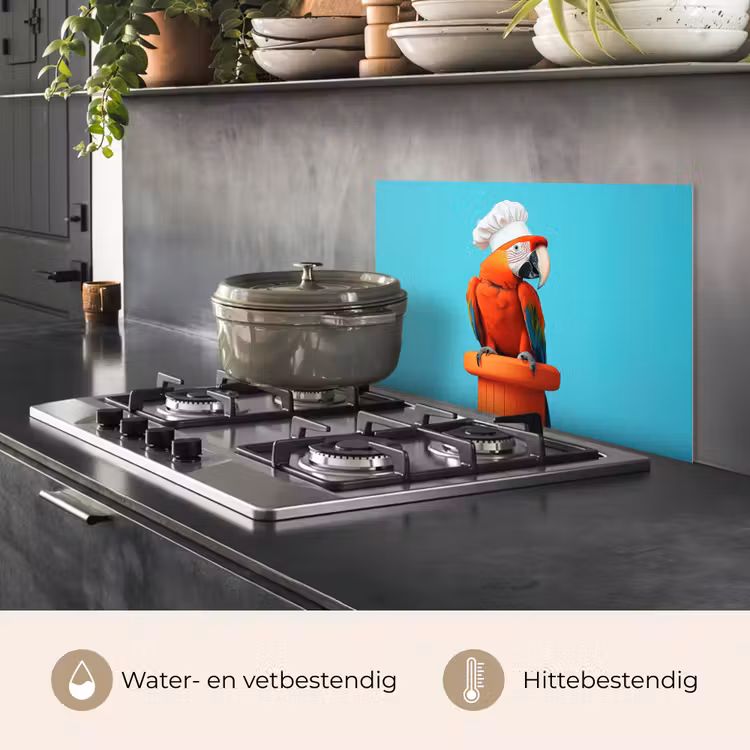 Spatscherm keuken - Ara - Koksmuts - Sokkel - Grappig — 2