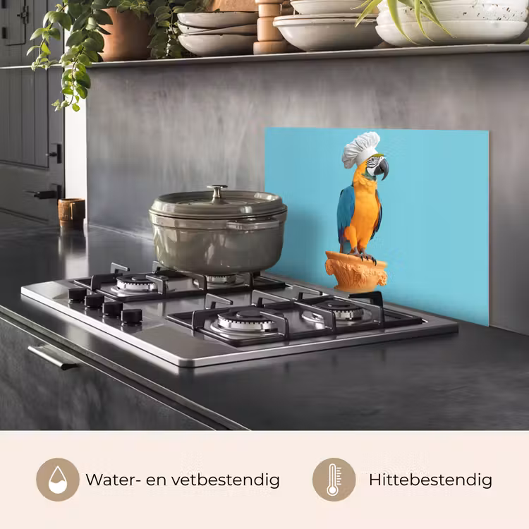 Spatscherm keuken - Papegaai - Koksmuts - Grappig - Vogel — 2