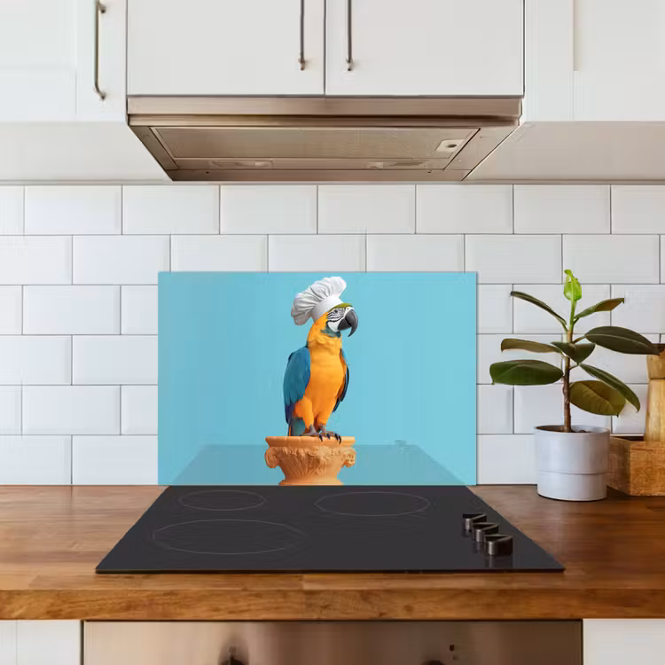 Spatscherm keuken - Papegaai - Koksmuts - Grappig - Vogel — 3