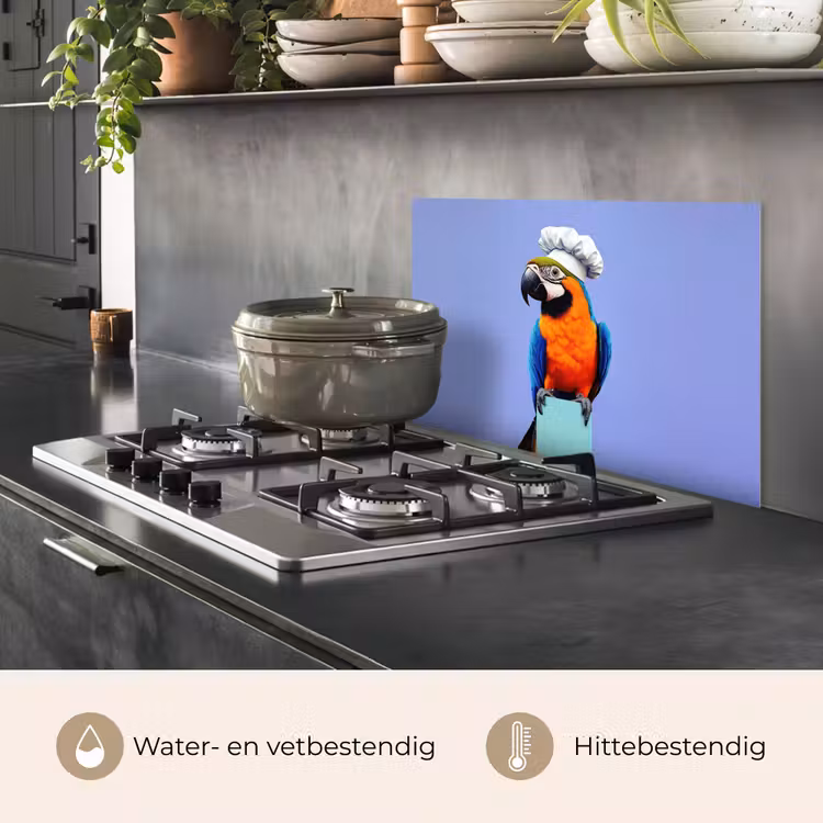 Spatscherm keuken - Papegaai - Koksmuts - Vogel - Leuk — 2