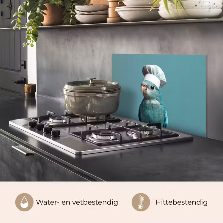 Spatscherm keuken - Parkiet - Vogel - Koksmuts - Cute — 2