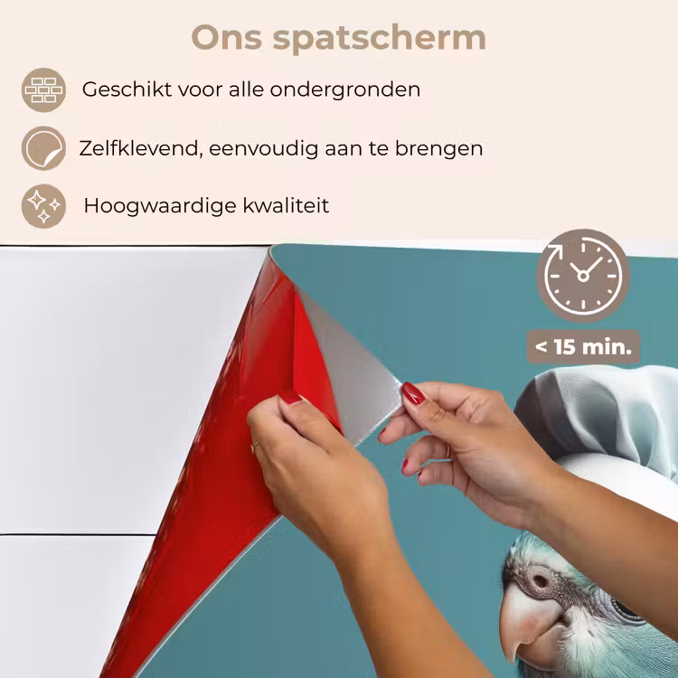Spatscherm keuken - Parkiet - Vogel - Koksmuts - Cute — 4