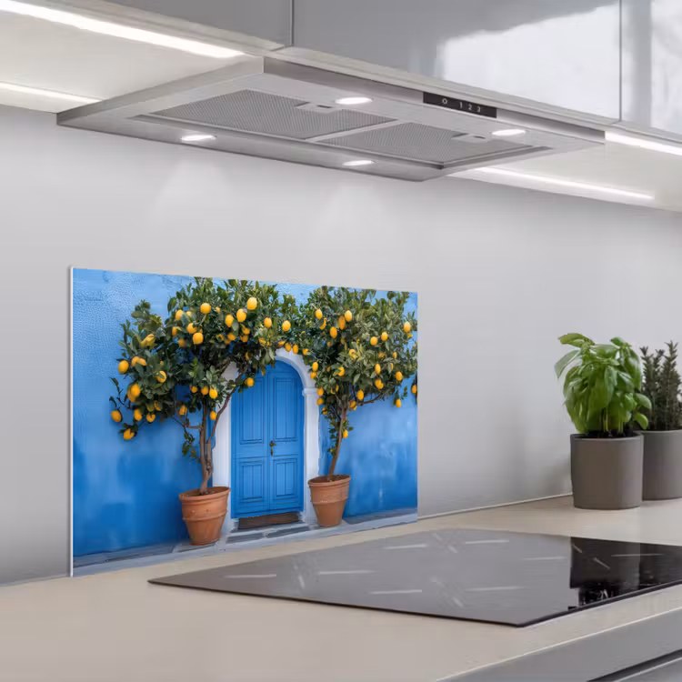 Spatscherm keuken - Citroenbomen - Geel - Deur - Potten — 1