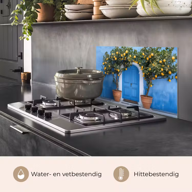 Spatscherm keuken - Citroenbomen - Geel - Deur - Potten — 2