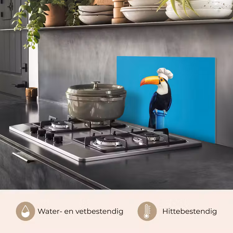 Spatscherm keuken - Tucan - Sokkel - Vogel - Koksmuts — 2