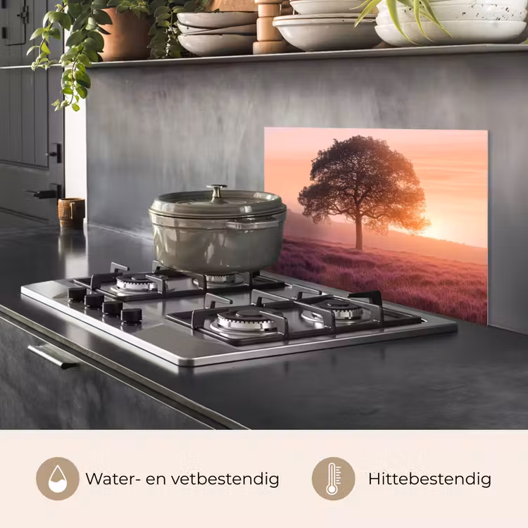 Spatscherm keuken - Boom - Heide - Zonsopgang — 2