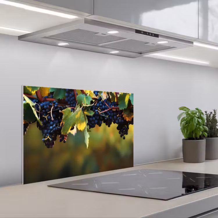 Spatscherm keuken - Druiven - Wijn - Natuur - Groen — 1
