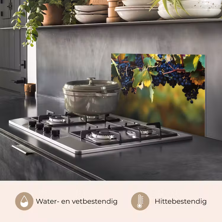 Spatscherm keuken - Druiven - Wijn - Natuur - Groen — 2