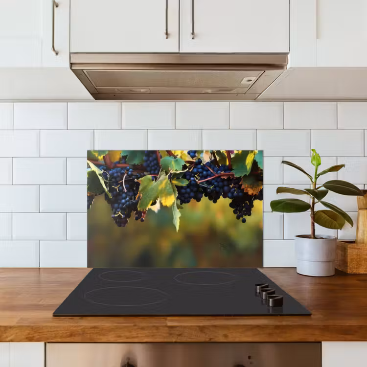 Spatscherm keuken - Druiven - Wijn - Natuur - Groen — 3