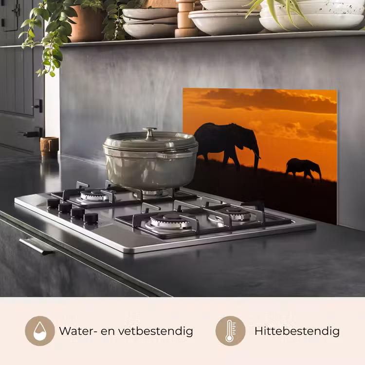Spatscherm keuken - Olifanten - Savanne - Zonsondergang — 2