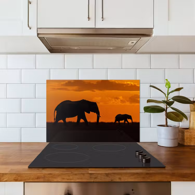 Spatscherm keuken - Olifanten - Savanne - Zonsondergang — 3