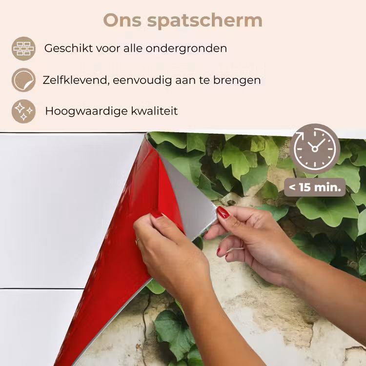 Spatscherm keuken - Klimop - Muur - Groen — 4