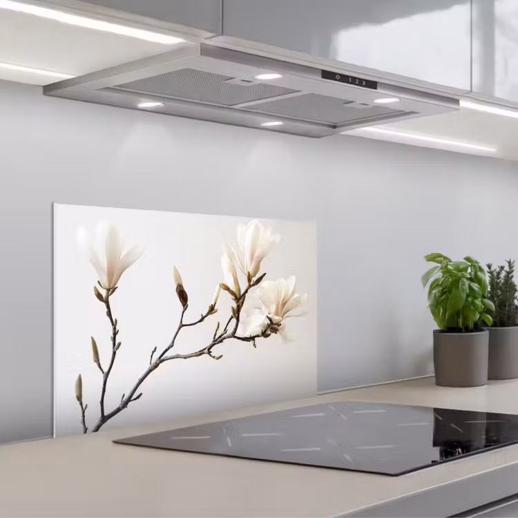 Spatscherm keuken - Bloemen - Wit - Natuur - Magnolia — 1