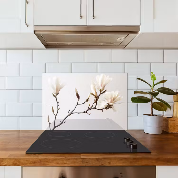 Spatscherm keuken - Bloemen - Wit - Natuur - Magnolia — 3