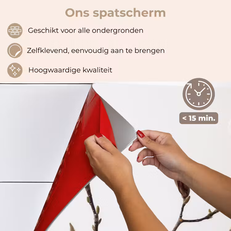 Spatscherm keuken - Bloemen - Wit - Natuur - Magnolia — 4