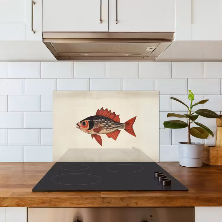 Spatscherm keuken - Schubben - Rood - Vis - Vinnen — 3