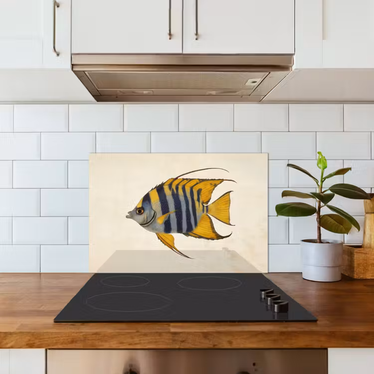 Spatscherm keuken - Vis - Sierlijk - Vinnen - Illustratie — 3