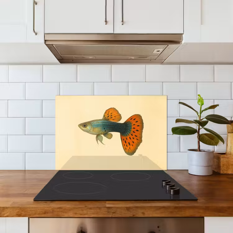 Spatscherm keuken - Vis - illustratie - Stippen - Oranje — 3