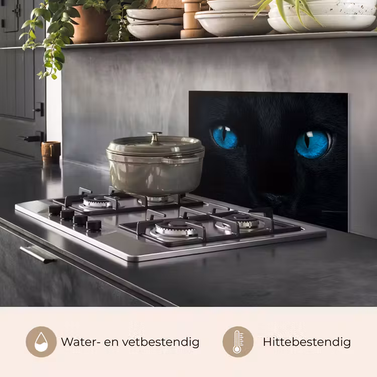 Spatscherm keuken - Kat - Blauw - Dier - Zwart — 2
