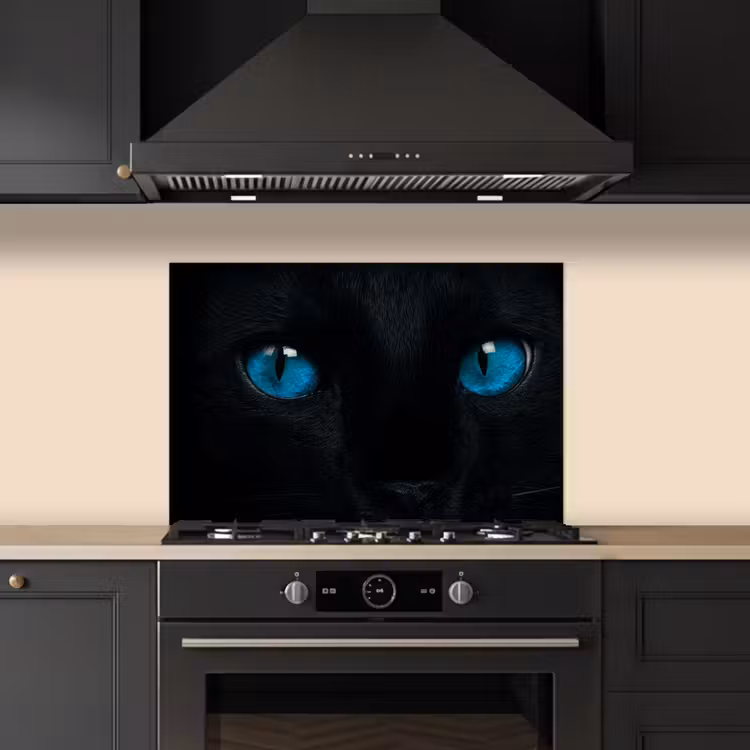 Spatscherm keuken - Kat - Blauw - Dier - Zwart — 5