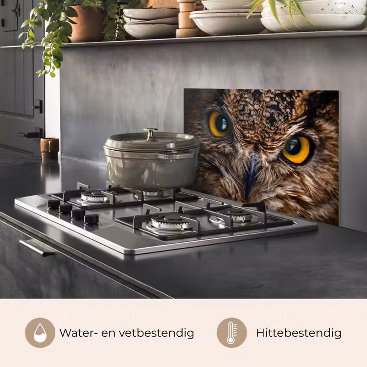 Spatscherm keuken - Uil - Dier - Oranje — 2