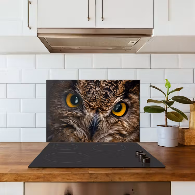 Spatscherm keuken - Uil - Dier - Oranje — 3