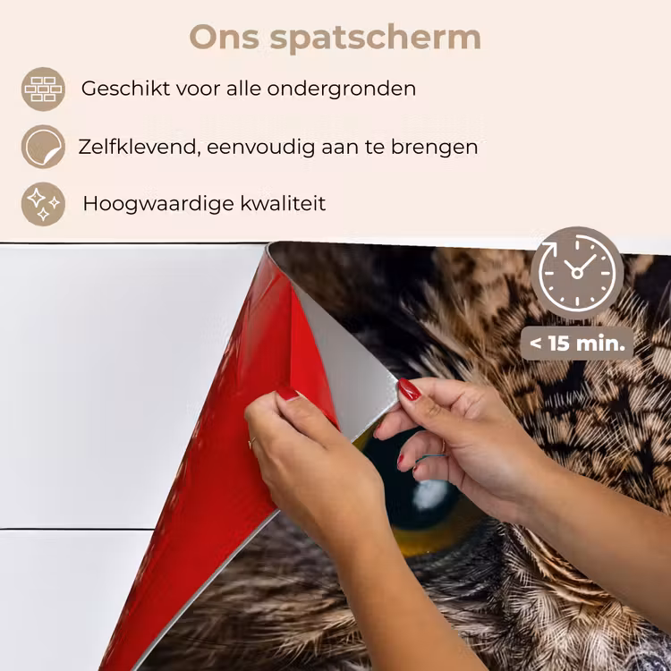 Spatscherm keuken - Uil - Dier - Oranje — 4