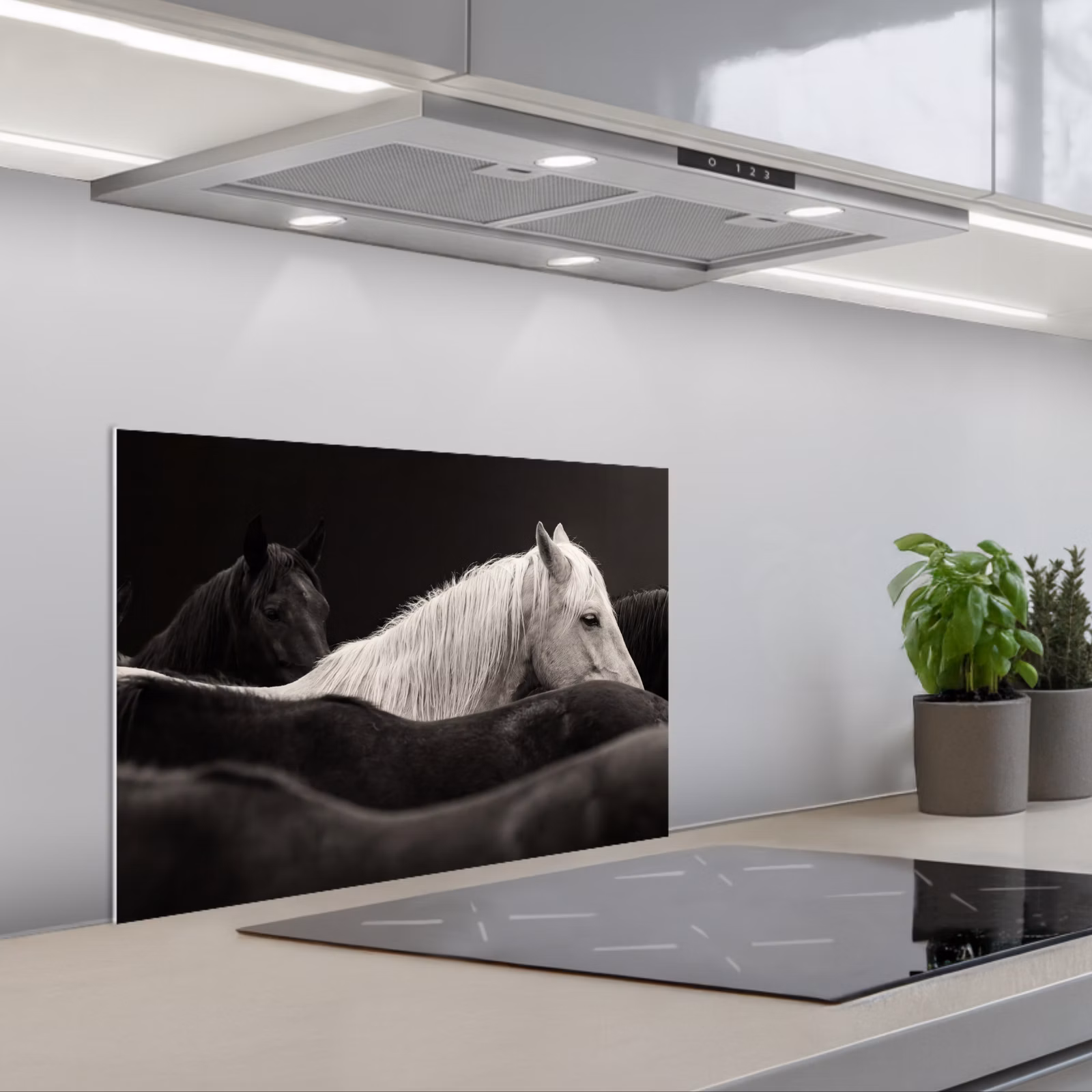 Spatscherm keuken - Paarden - Zwart - Wit - Kudde — 1