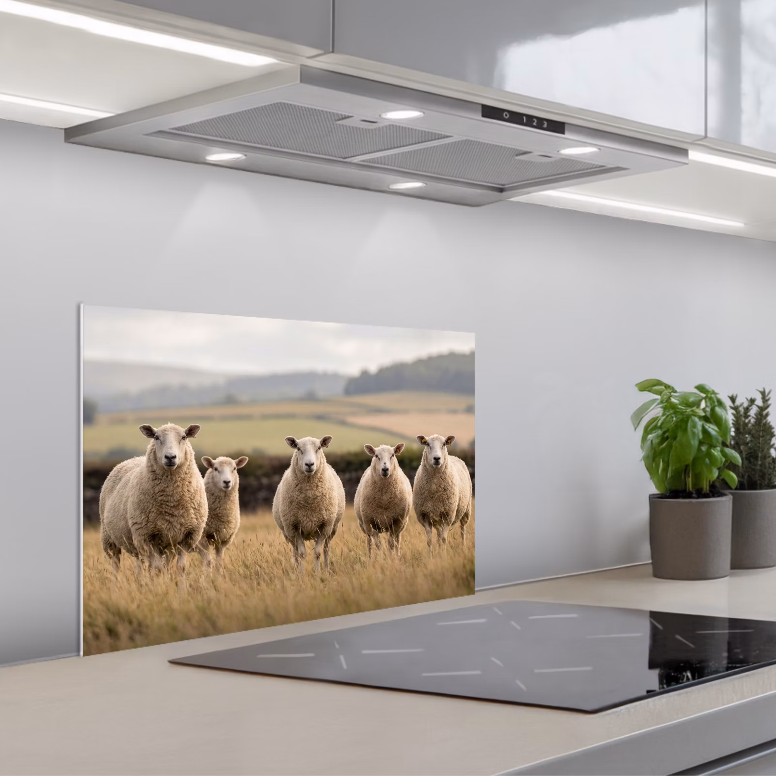 Spatscherm keuken - Schapen - Weidenlandschap - Heuvels — 1