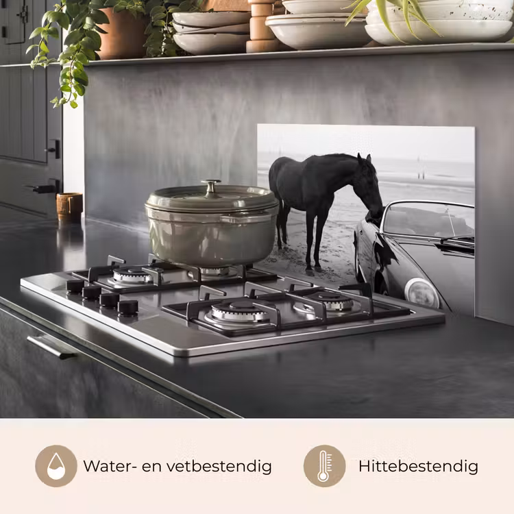 Spatscherm keuken - Paard - Auto - Zwart - Wit — 2