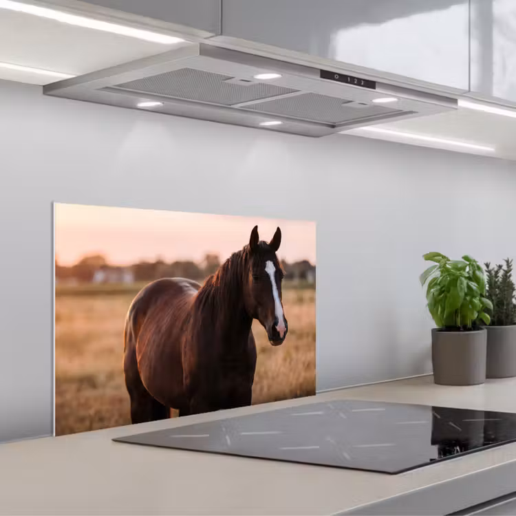 Spatscherm keuken - Paard - Zonsondergang - Bruin — 1