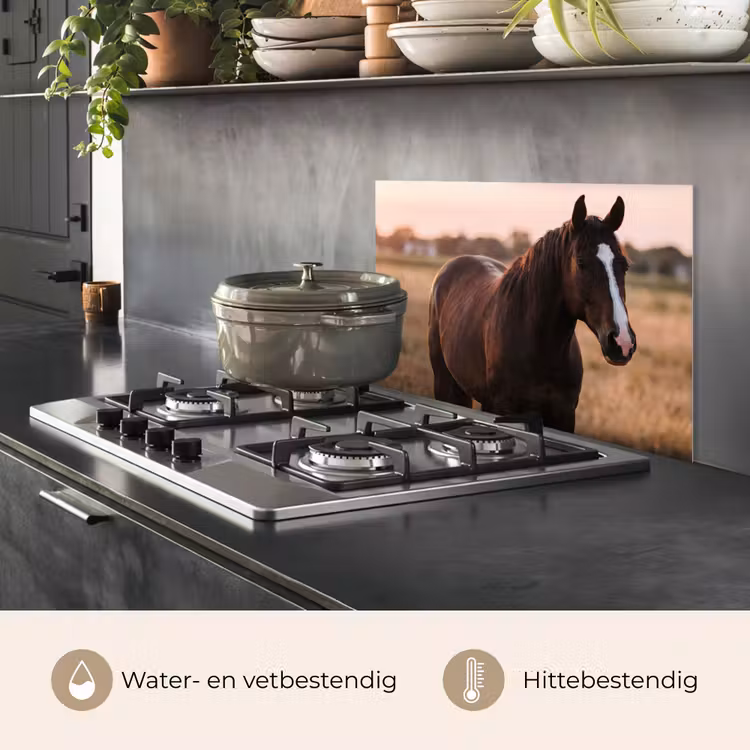 Spatscherm keuken - Paard - Zonsondergang - Bruin — 2