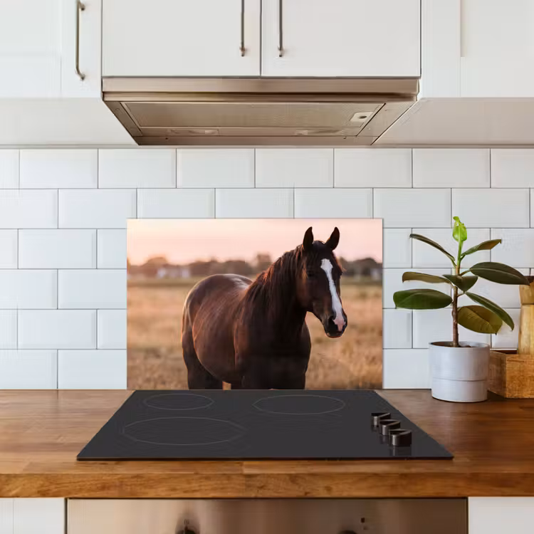 Spatscherm keuken - Paard - Zonsondergang - Bruin — 3