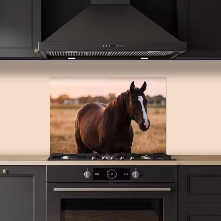 Spatscherm keuken - Paard - Zonsondergang - Bruin — 5