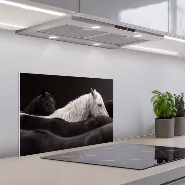 Spatscherm keuken - Paarden - Zwart - Wit - Kudde — 1