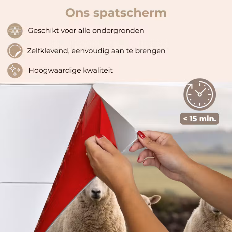 Spatscherm keuken - Schapen - Weidenlandschap - Heuvels — 4