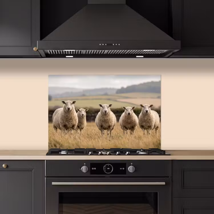 Spatscherm keuken - Schapen - Weidenlandschap - Heuvels — 5