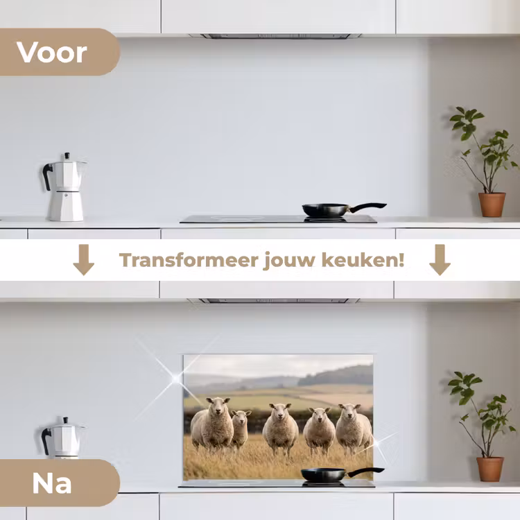 Spatscherm keuken - Schapen - Weidenlandschap - Heuvels — 7