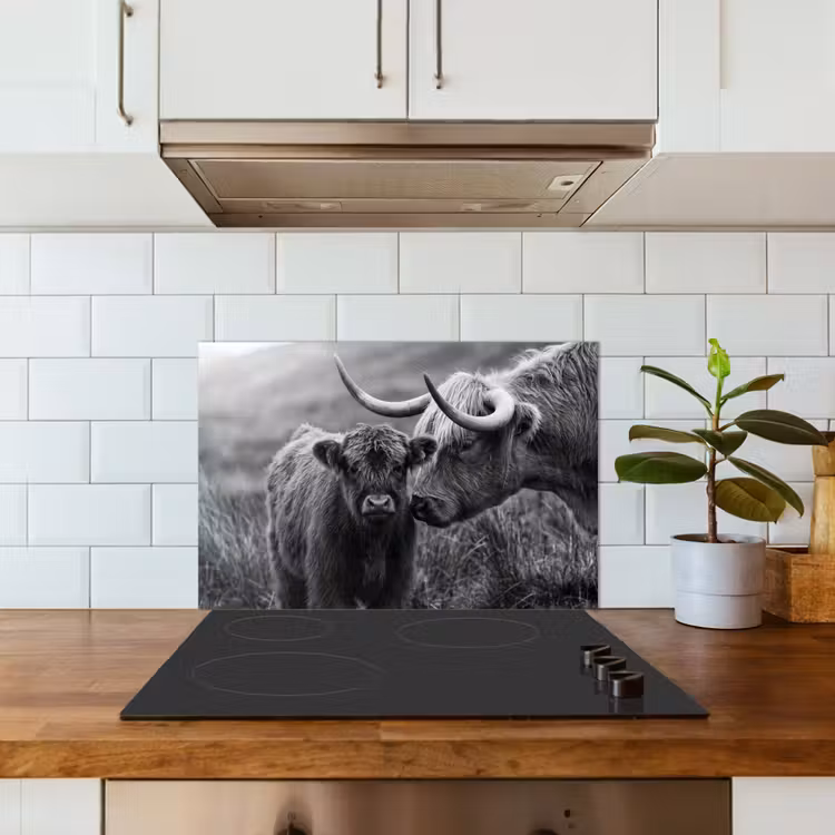 Spatscherm keuken - Schotse hooglander - Kalf - Zwart - Wit — 3