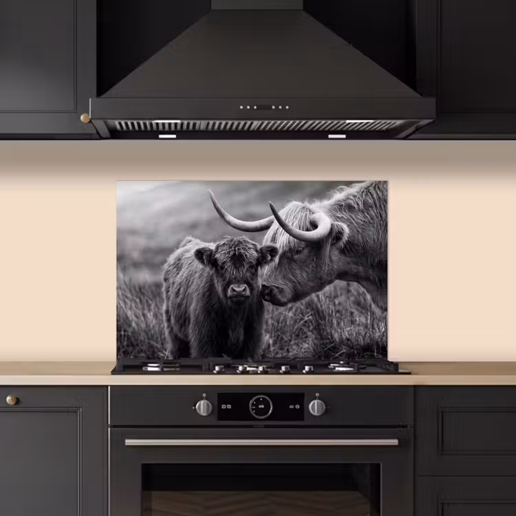 Spatscherm keuken - Schotse hooglander - Kalf - Zwart - Wit — 5