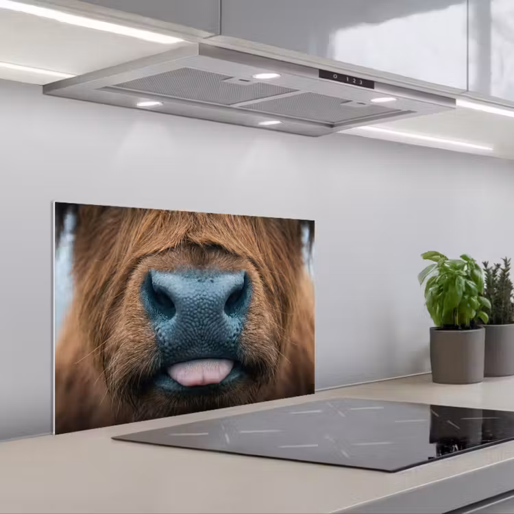 Spatscherm keuken - Schotse hooglander - Neus - Bruin — 1