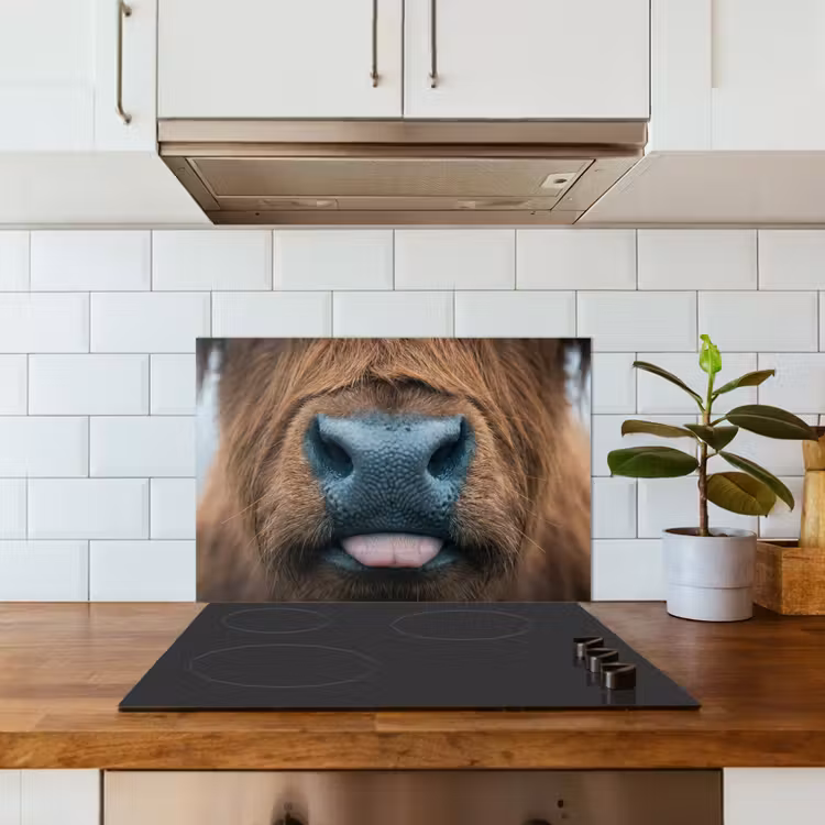 Spatscherm keuken - Schotse hooglander - Neus - Bruin — 3
