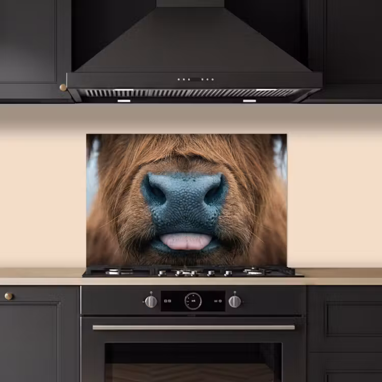 Spatscherm keuken - Schotse hooglander - Neus - Bruin — 5