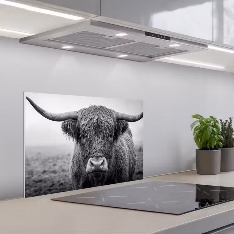 Spatscherm keuken - Schotse hooglander - Zwart - Wit - Gras — 1