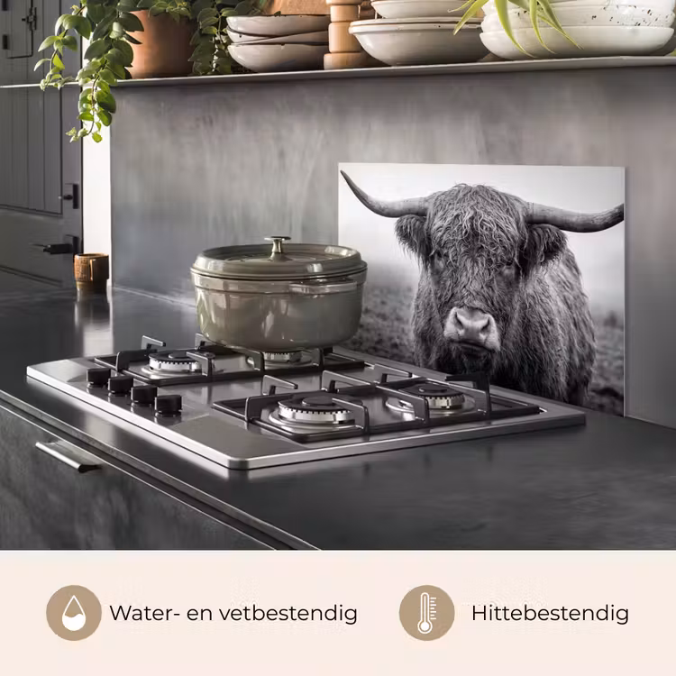 Spatscherm keuken - Schotse hooglander - Zwart - Wit - Gras — 2