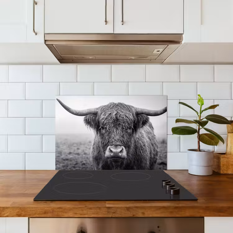 Spatscherm keuken - Schotse hooglander - Zwart - Wit - Gras — 3