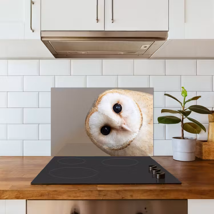 Spatscherm keuken - Uil - Bruin - Wit — 3